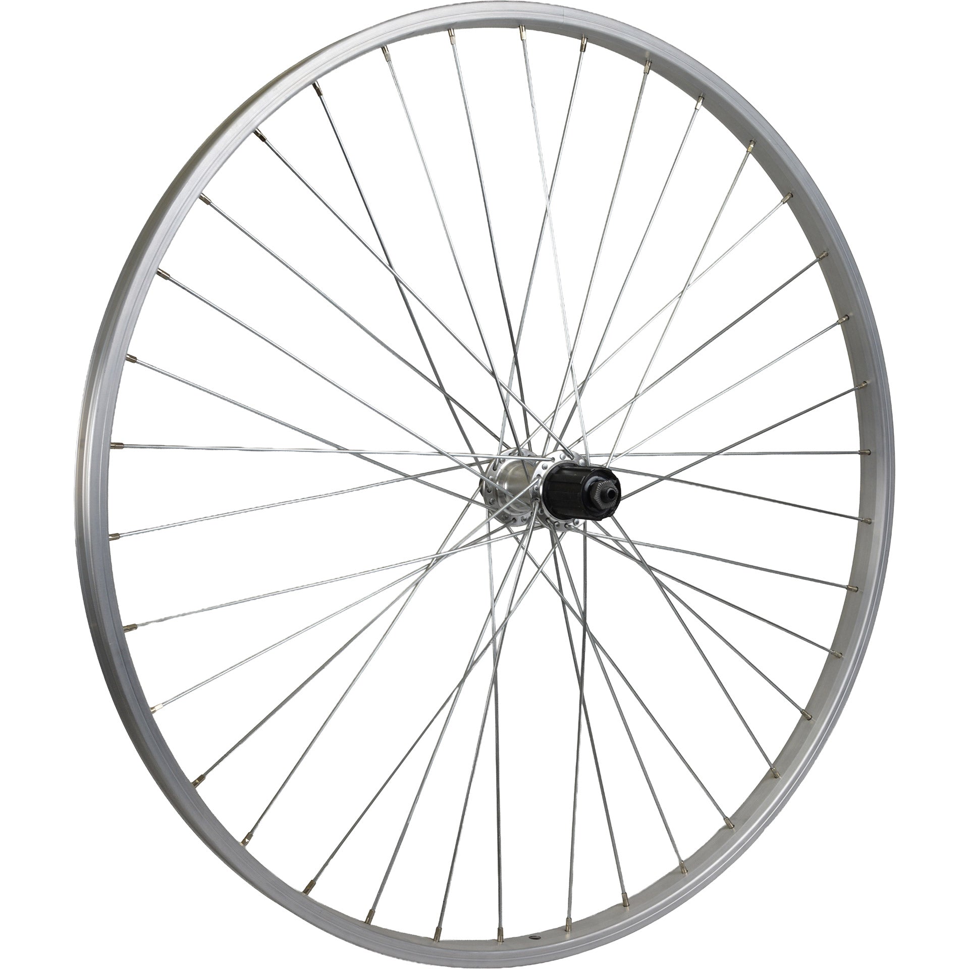 Ruota posteriore Roland mach1 28 8v qr alu silver