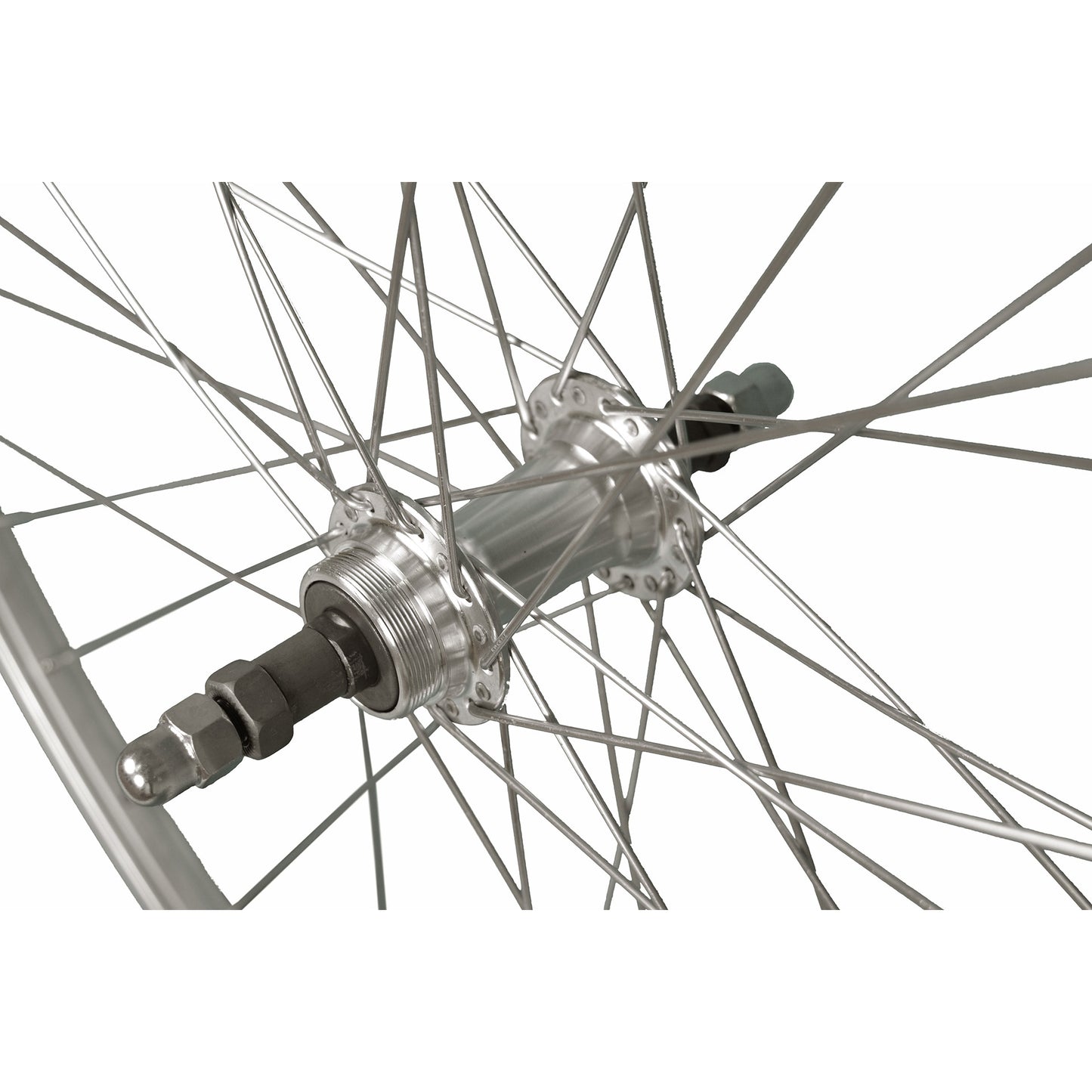 Ruota posteriore Roland P24H 28 36G 7V FOL