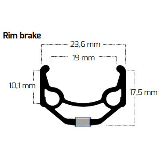 Ruota posteriore Roland 28 36G ZAC19 Nexus 7 REMOAF Silver