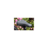 Seleroyal Selle Kinder Asientos Explora Jr.