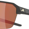 Alpina swift hr - sports glasses