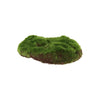 Muschio artificiale Esschert design s 15x13 cm
