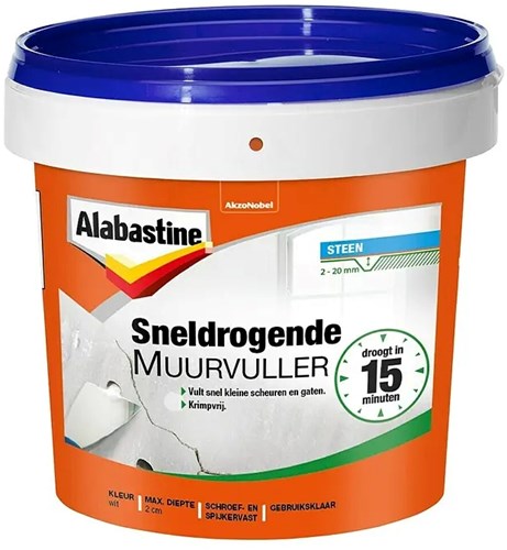Stucco murale Alabastine ad asciugatura rapida 1kg - 5095977