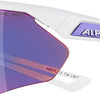 Alpina nylos hr - gafas deportivas