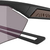 Alpina nylos hr - sports glasses