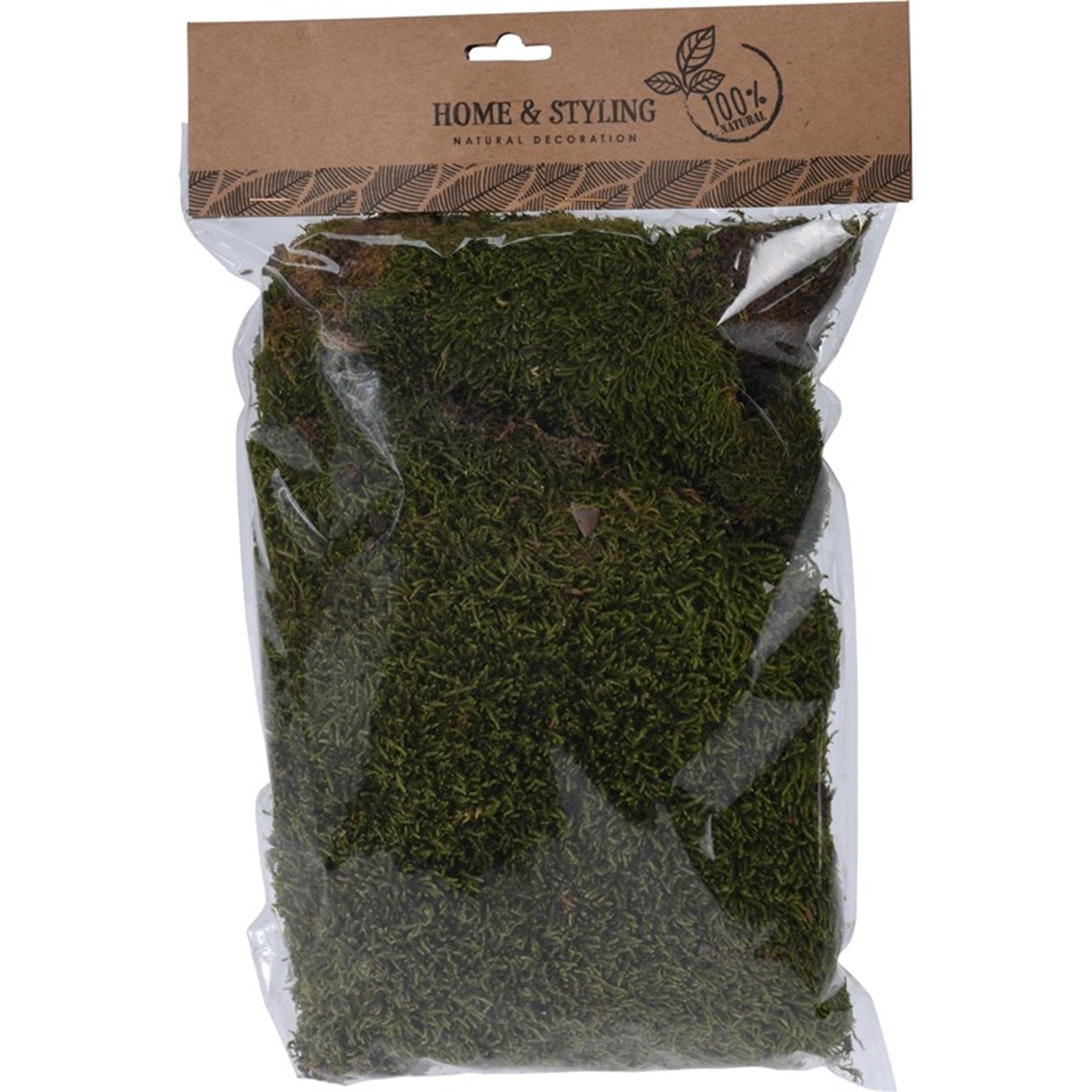 Home styling moss flat natural 100 grams