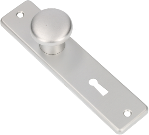 Ami knop 160 40 vast kortschild 165 4 rh sl 56 f1 - 310152