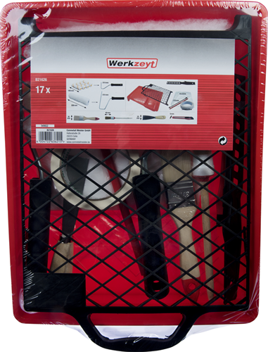 Juego de renovación Werkzeyt 17 piezas - b21626