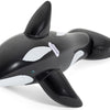 Giocattolo gonfiabile in via di guida Orca 183 cm in bianco e nero