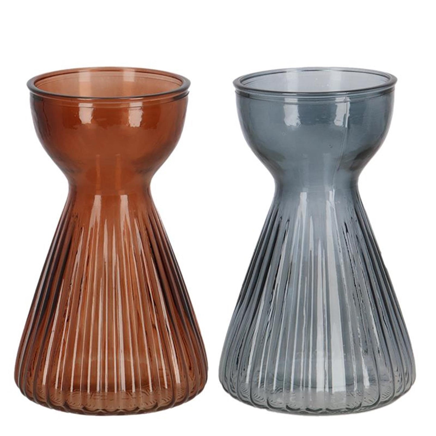 Esschert design Vaso a bulbo Esschert con amaryllis a coste