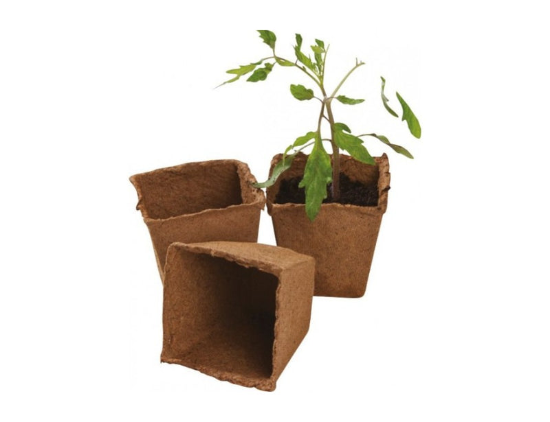 Jars de cría de guirnaldas de degradable 48