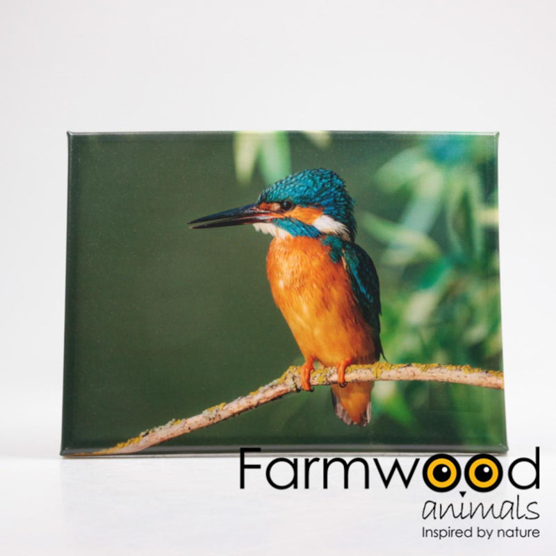 Farmwood animals buitenschilderij ijsvogel 30x40cm