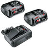 Kit avviamento batteria li-ion 18v Bosch verde 1600a031t5 (2x 2,5ah) + caricabatteria già 18v-44