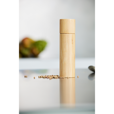 Molinillo de pimienta pura Brabantia