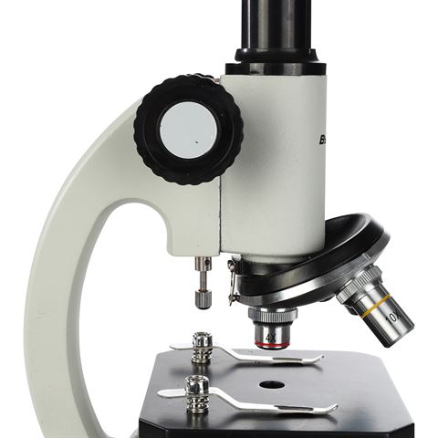 Microscopio Studio Byomic BYO-10