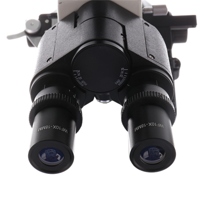 Microscopio Studio Byomic BYO-500T