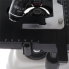 Microscopio de estudio byómico BYO-500T