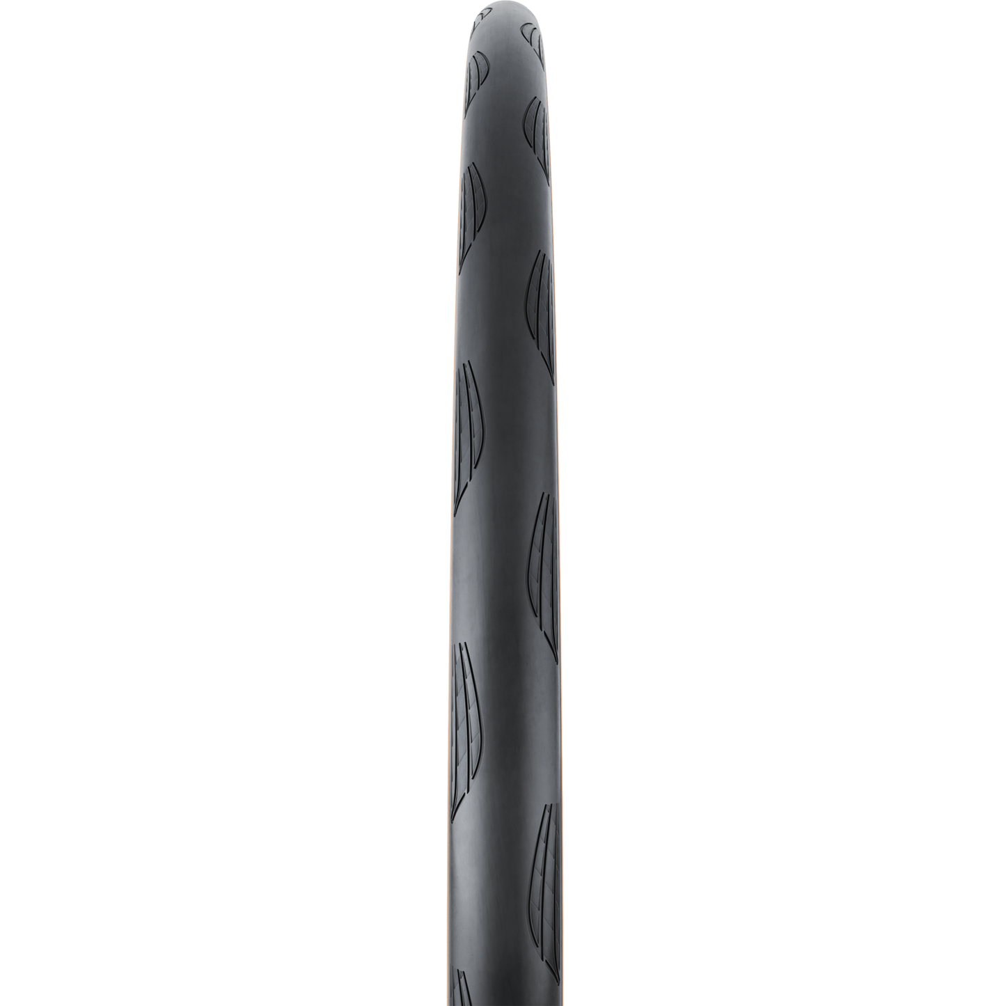 Continental - Grand Prix TR 700x28c nero