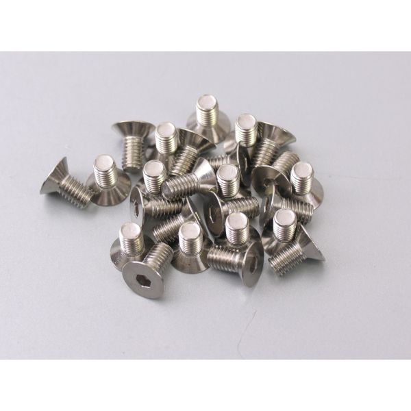 Bofix Allenbout M5 X 10 in acciaio inossidabile con testa affondata (25 pezzi)