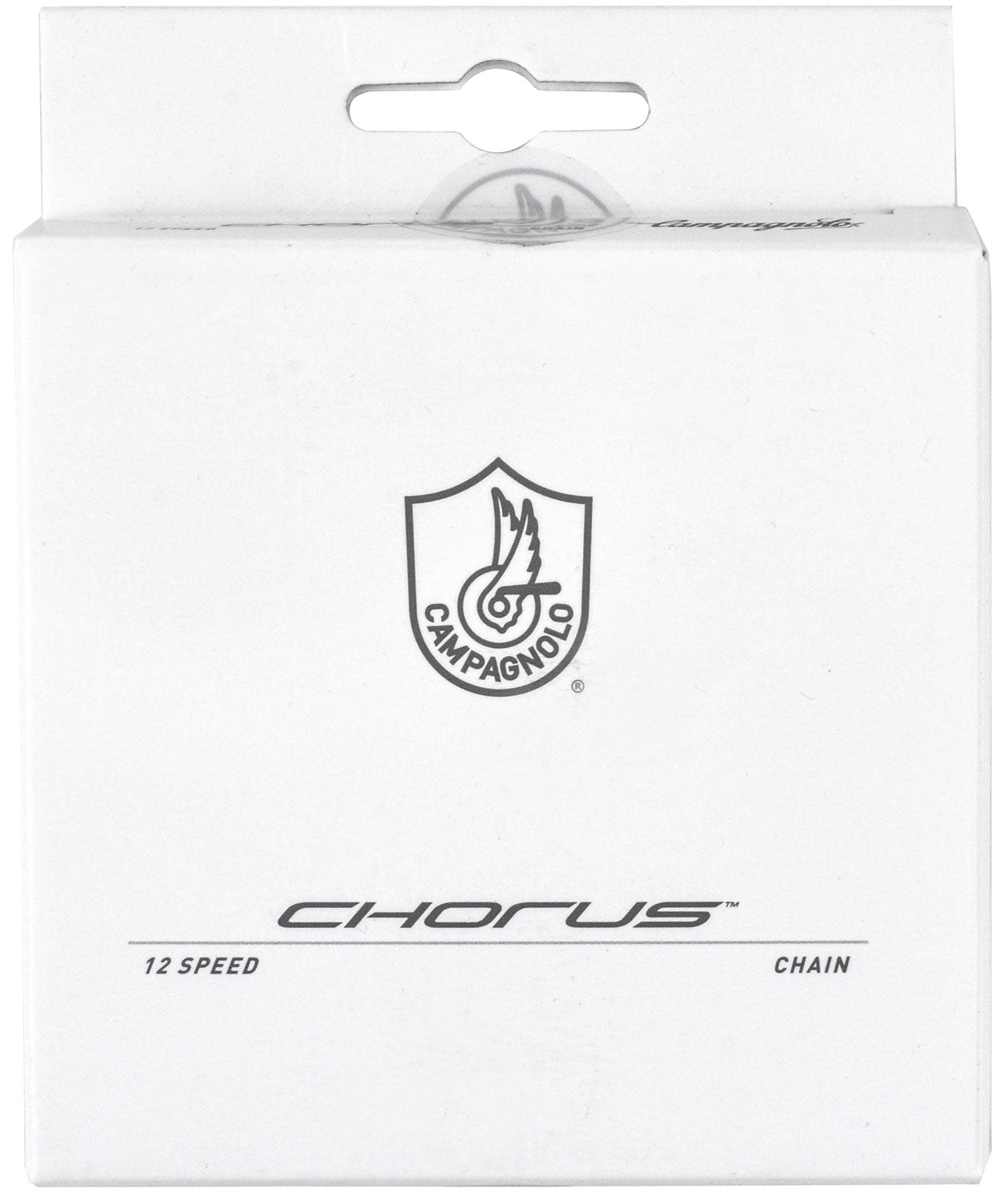 Catena Campagnolo Chorus 12 velocità