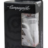 Campagnolo bleed kit