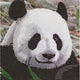 Panda della mappa di pittura di diamanti