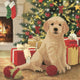 Pintura de diamantes con tarjeta de Navidad apos;