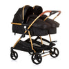 Chipolino Duo Plegable PRAM para 2 Obsidian Gold Black