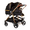 Chipolino Duo Plegable PRAM para 2 Obsidian Gold Black