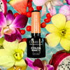Claresa UV lideró a Gelak 5ml Escape tropical 2