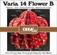 Crealies • varia 3d bloem b