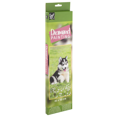 Craft id cuadro con diamantes, 40x50cm, perro