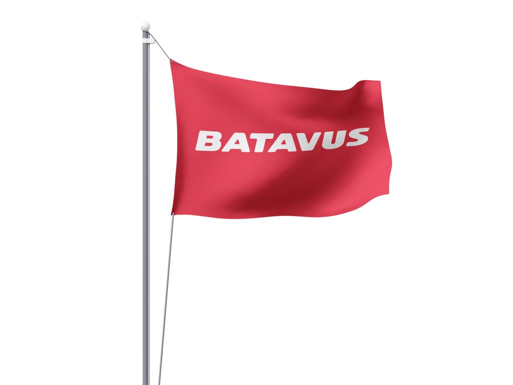 Bandiera Batavus 100x150