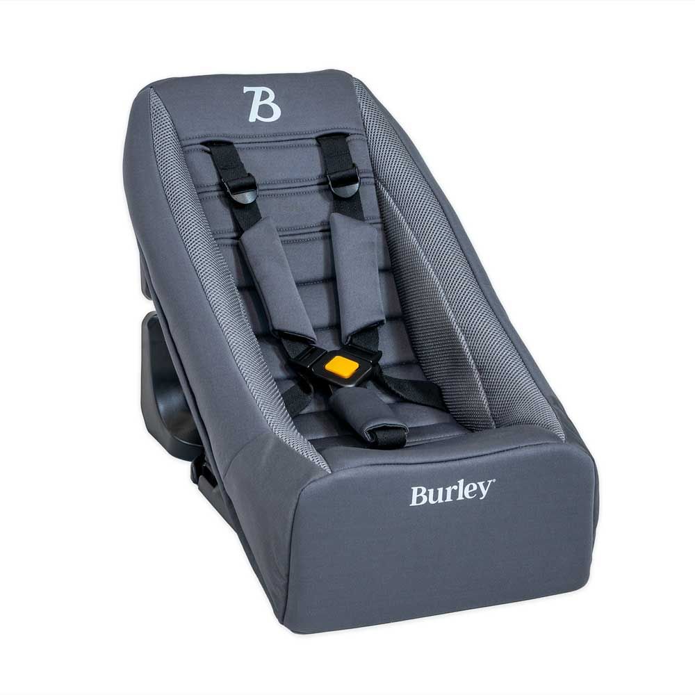 Card bur baby escala 1 a 10 meses gry