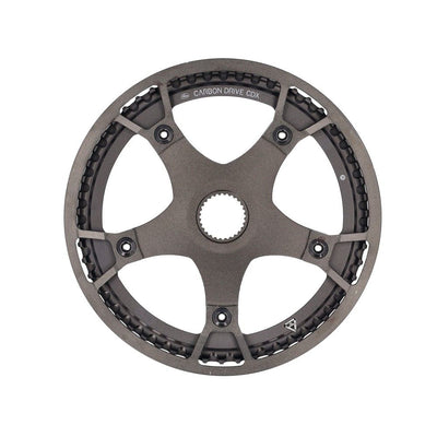 Pignone Gates in carbonio trasmissione cdx