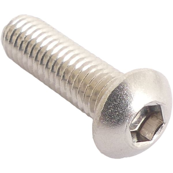 Bofix Brake Disc Bolt M6 Allen con acero inoxidable para la cabeza de bombilla (10 piezas)
