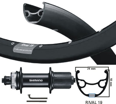 Rueda trasera KGS 28 pulgadas (622) Zac Rival + Spaak ZW Cass Centerl 7 SP