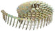 Accessori Dewalt [dnr] chiodi a spirale | 3.05-22 | g12 immersione calda | zincato per coperture - dnr3122hdz