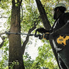 Dewalt dcmasps5n | accesorio de árbol dividido | motosierra en eje - dcmasps5n-xj