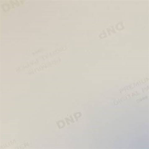 DNP Carta standard DSRX1HS-4X6 2 rotolo � 700 St. 10x15 per DS-RX1HS