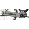 Piezas de bicicleta Hesling protector de cadena hesling cadena gris
