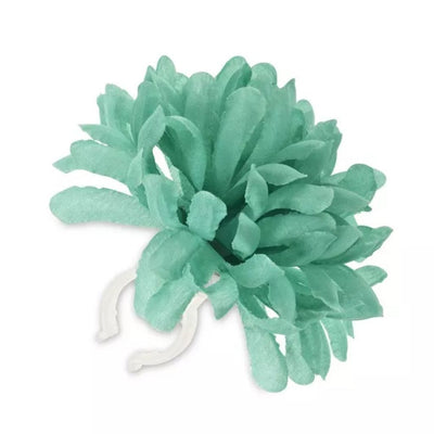 Basil b.v. basilico 50372 fiore dalia. fiore del manubrio. verde menta