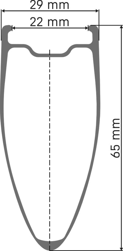 Ruota posteriore in carbonio DT Swiss Arc 1400 Dicut® 65 28 Disc Cl Shimano HG