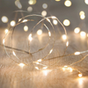Cordoniera LED per piccioni 30 LED 300 cm