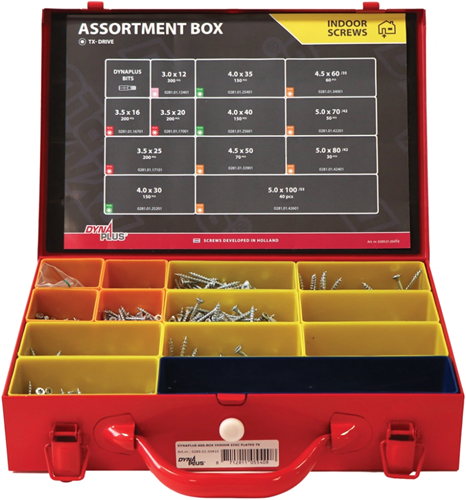 Caja surtida interior Dynaplus torx galvanizada | 1600 piezas - 0289.01.00410