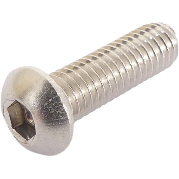 Bofix Brake Disc Bolt M6 Allen con acero inoxidable para la cabeza de bombilla (10 piezas)