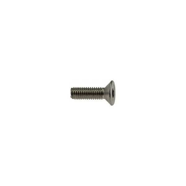 Bofix Allenbout M5X16 Acciaio inossidabile con testa affondata (25 pezzi)