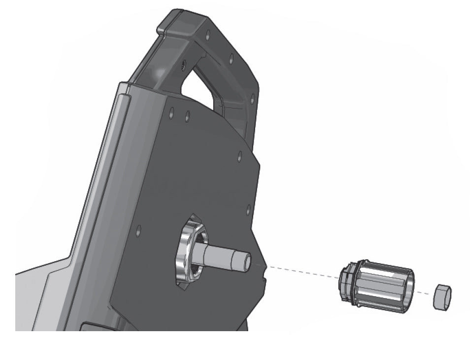 Elite campagnolo ed freehub body