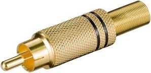 Spina tulipano Enzo placcato oro nero 7097319