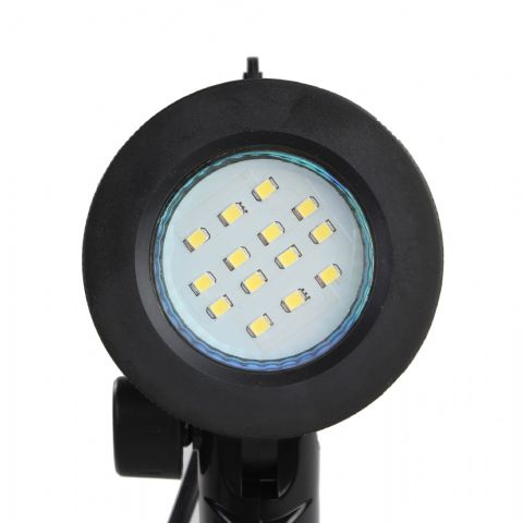 Porta della lampada degli occhi Falcon con lampada a LED da 4W e treppiede
